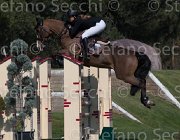 DAllamano Zico TosTour2013- S5 2207 : Arezzo, Arezzo Equestrian Centre, Dallamano Julia, Toscana Tour 2013, Zico V, foto di Stefano Secchi ©