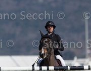 Dallamano Pollux TosTour2013- S5 2934 : Arezzo, Arezzo Equestrian Centre, Dallamano Julia, Pollux des Sources, Toscana Tour 2013, foto di Stefano Secchi ©