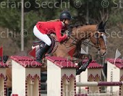 Dallamano Zico TosTour 2013- S4 6429 : Arezzo Equestrian Centre, Dallamano Julia, Toscana Tour 2013, Zico V, foto di Stefano Secchi ©