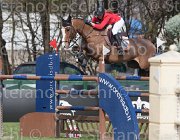 Dallamano Zico TosTour 2013- S4 6433 : Arezzo Equestrian Centre, Dallamano Julia, Toscana Tour 2013, Zico V, foto di Stefano Secchi ©