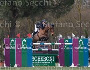 Estermann Eclipse TosTour 2013- S5 7193 : Arezzo Equestrian Centre, Castelfield Eclipse, Estermann Paul, Toscana Tour 2013, foto di Stefano Secchi ©
