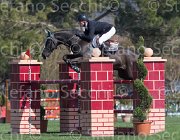 Estermann Uddel TosTour2013- S5 2152 : Arezzo, Arezzo Equestrian Centre, Estermann Paul, Toscana Tour 2013, Uddel, foto di Stefano Secchi ©
