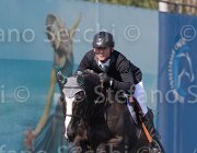 Estermann Uddel TosTour2013- S5 2158 : Arezzo, Arezzo Equestrian Centre, Estermann Paul, Toscana Tour 2013, Uddel, foto di Stefano Secchi ©