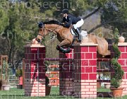Faniglione Clairis TosTour2013- S5 2183 : Arezzo, Arezzo Equestrian Centre, Clairis, Faniglione Luna, Toscana Tour 2013, foto di Stefano Secchi ©