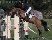Faniglione Clairis TosTour2013- S5 2185 : Arezzo, Arezzo Equestrian Centre, Clairis, Faniglione Luna, Toscana Tour 2013, foto di Stefano Secchi ©