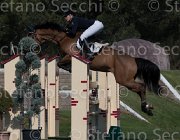 Faniglione Clairis TosTour2013- S5 2186 : Arezzo, Arezzo Equestrian Centre, Clairis, Faniglione Luna, Toscana Tour 2013, foto di Stefano Secchi ©