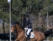 Faniglione Clairis TosTour2013- S5 2187 : Arezzo, Arezzo Equestrian Centre, Clairis, Faniglione Luna, Toscana Tour 2013, foto di Stefano Secchi ©