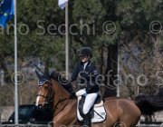 Faniglione Clairis TosTour2013- S5 2188 : Arezzo, Arezzo Equestrian Centre, Clairis, Faniglione Luna, Toscana Tour 2013, foto di Stefano Secchi ©