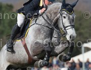 Ferrario Uppidu TosTour 2013- S5 7647 : Arezzo Equestrian Centre, Ferrario Massimiliano, Toscana Tour 2013, Uppidu della Monica, foto di Stefano Secchi ©
