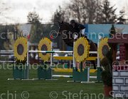 Fochi Dafne TosTour2013- S5 1333 : Arezzo, Dafne de Regor, Fochi Edoardo, Toscana Tour 2013, foto di Stefano Secchi ©
