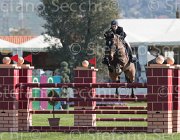 Fredlund Upperclass TosTour2013- S5 2005 : Arezzo, Arezzo Equestrian Centre, Fredlund Elisabeth, Toscana Tour 2013, Upperclass, foto di Stefano Secchi ©