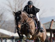 Fredlund Upperclass TosTour2013- S5 2007 : Arezzo, Arezzo Equestrian Centre, Fredlund Elisabeth, Toscana Tour 2013, Upperclass, foto di Stefano Secchi ©