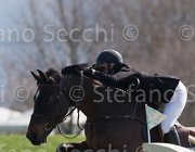 Fredlund Upperclass TosTour2013- S5 2008 : Arezzo, Arezzo Equestrian Centre, Fredlund Elisabeth, Toscana Tour 2013, Upperclass, foto di Stefano Secchi ©