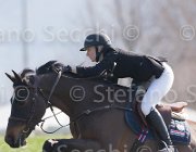 Fredlund Upperclass TosTour2013- S5 2009 : Arezzo, Arezzo Equestrian Centre, Fredlund Elisabeth, Toscana Tour 2013, Upperclass, foto di Stefano Secchi ©