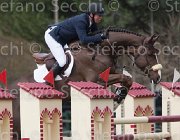 Fredricson Ambra TosTour 2013- S4 6606