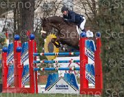 Fredricson Colmar TosTour 2013- S4 6602 : Arezzo Equestrian Centre, Colmar, Fredricson Jens, Toscana Tour 2013, foto di Stefano Secchi ©