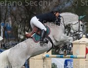 Ganassini Palermo TosTour 2013- S4 6547 : Arezzo Equestrian Centre, Ganassini Benedetta, Palermo, Toscana Tour 2013, foto di Stefano Secchi ©