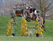 Gillespie Eros TosTour2013- S5 2746 : Arezzo, Arezzo Equestrian Centre, Eros H, Gillespie Graham, Toscana Tour 2013, foto di Stefano Secchi ©
