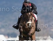 Gillespie Eros TosTour2013- S5 2749 : Arezzo, Arezzo Equestrian Centre, Eros H, Gillespie Graham, Toscana Tour 2013, foto di Stefano Secchi ©