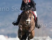Gillespie Eros TosTour2013- S5 2750 : Arezzo, Arezzo Equestrian Centre, Eros H, Gillespie Graham, Toscana Tour 2013, foto di Stefano Secchi ©