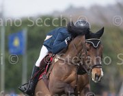 Gillespie Eros TosTour 2013- S5 7189 : Arezzo Equestrian Centre, Eros H, Gillespie Graham, Toscana Tour 2013, foto di Stefano Secchi ©