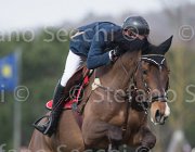 Gillespie Eros TosTour 2013- S5 7190 : Arezzo Equestrian Centre, Eros H, Gillespie Graham, Toscana Tour 2013, foto di Stefano Secchi ©
