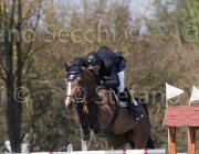 Giunti Aznavour TosTour2013- S5 2479 : Arezzo, Arezzo Equestrian Centre, Aznavour, Giunti Matteo, Toscana Tour 2013, foto di Stefano Secchi ©