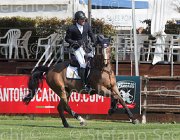 Giunti Aznavour TosTour2013- S5 2485 : Arezzo, Arezzo Equestrian Centre, Aznavour, Giunti Matteo, Toscana Tour 2013, foto di Stefano Secchi ©