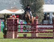 Groenveld Shiva TosTour2013- S5 2010 : Arezzo, Arezzo Equestrian Centre, Groenveld Heleen, Shiva, Toscana Tour 2013, foto di Stefano Secchi ©