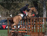 Grossato Liceo TosTour2013- S5 2405 : Arezzo, Arezzo Equestrian Centre, Grossato Massimo, Liceo, Toscana Tour 2013, foto di Stefano Secchi ©