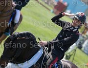 Grossato Liceo TosTour2013- S5 2512 : Arezzo, Arezzo Equestrian Centre, Grossato Massimo, Liceo, Toscana Tour 2013, foto di Stefano Secchi ©