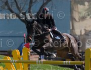 Grossato Quala TosTour2013- S5 2625 : Arezzo, Arezzo Equestrian Centre, Grossato Massimo, Quala, Toscana Tour 2013, foto di Stefano Secchi ©
