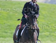 Grossato Quala TosTour2013- S5 2629 : Arezzo, Arezzo Equestrian Centre, Grossato Massimo, Quala, Toscana Tour 2013, foto di Stefano Secchi ©