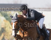 Hanley Player TosTour 2013- S5 3402 : Arezzo Equestrian Centre, Hanley Cameron, Player du Quesnoy, Toscana Tour 2013, foto di Stefano Secchi ©