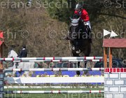 Hartl Clever TosTour2013- S5 2462 : Arezzo, Arezzo Equestrian Centre, Clever Be B, Hatrl Romana, Toscana Tour 2013, foto di Stefano Secchi ©