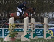 Heijdens Dallas TosTour 2013- S5 7727 : Arezzo Equestrian Centre, Dallas, Heijdens Wesley, Toscana Tour 2013, foto di Stefano Secchi ©