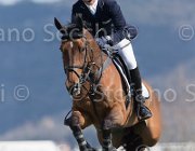 Heijdens Pavarottie TosTour2013- S5 2764 : Arezzo, Arezzo Equestrian Centre, Heijdens Wesley, Pavarottie H, Toscana Tour 2013, foto di Stefano Secchi ©