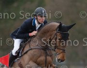 Hendrix Apollo TosTour 2013- S4 7067 : Apollo, Arezzo Equestrian Centre, Hendrix Michel, Toscana Tour 2013, foto di Stefano Secchi ©