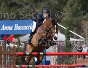 Hendrix Wait TosTour 2013- S5 7557 : Arezzo Equestrian Centre, Hendrix Michel, Toscana Tour 2013, Wait and see, foto di Stefano Secchi ©