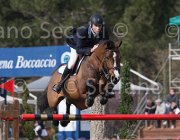 Hendrix Wait TosTour 2013- S5 7558 : Arezzo Equestrian Centre, Hendrix Michel, Toscana Tour 2013, Wait and see, foto di Stefano Secchi ©