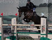 Kaufmann Cartaggi TosTour 2013- S5 3454 : Arezzo Equestrian Centre, Cartaggi, Kaufmann Christoph, Toscana Tour 2013, foto di Stefano Secchi ©