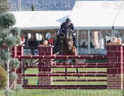 Kawiak Noah TosTour2013- S5 2114 : Arezzo, Arezzo Equestrian Centre, Kawiak Igor, Noah de Bacon, Toscana Tour 2013, foto di Stefano Secchi ©
