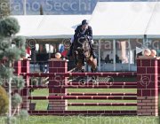 Kawiak Noah TosTour2013- S5 2115 : Arezzo, Arezzo Equestrian Centre, Kawiak Igor, Noah de Bacon, Toscana Tour 2013, foto di Stefano Secchi ©