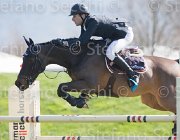 Kawiak Noah TosTour2013- S5 2119 : Arezzo, Arezzo Equestrian Centre, Kawiak Igor, Noah de Bacon, Toscana Tour 2013, foto di Stefano Secchi ©