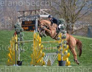 Kawiak Tardonne TosTour2013- S5 2873 : Arezzo, Arezzo Equestrian Centre, Kawiak Igor, Tardonne, Toscana Tour 2013, foto di Stefano Secchi ©