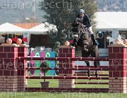 Kingsrod Clarkes TosTour2013- S5 2055 : Arezzo, Arezzo Equestrian Centre, Clarkes Ferro, Kingsrod Dag Ove, Toscana Tour 2013, foto di Stefano Secchi ©
