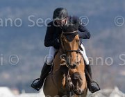 Krasyuk Oleg TosTour2013- S5 2734 : Arezzo, Arezzo Equestrian Centre, Krasyuk Oleg, Siec Goldrush, Toscana Tour 2013, foto di Stefano Secchi ©
