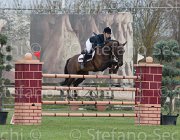 Kuyten Dakota TosTour 2013- S4 6865 : Arezzo Equestrian Centre, Dakota du Buisson, Kuyten Suus, Toscana Tour 2013, foto di Stefano Secchi ©