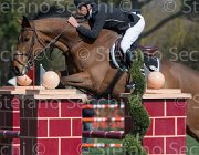 Lambre Flamengo TosTour2013- S5 2276 : Arezzo, Arezzo Equestrian Centre, Flamengo, Lambre Santiago, Toscana Tour 2013, foto di Stefano Secchi ©