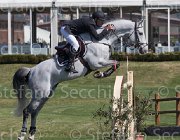 Lambre Wonami TosTour2013- S5 2518 : Arezzo, Arezzo Equestrian Centre, Lambre Santiago, Toscana Tour 2013, Wonami vd Aard, foto di Stefano Secchi ©